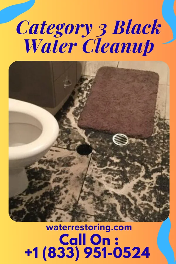 Category 3 Black Water Cleanup in Grants Pass, OR
