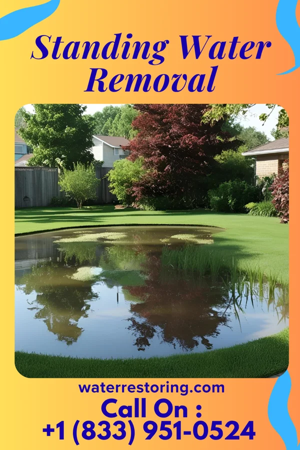 Standing Water Removal in Grants Pass, OR